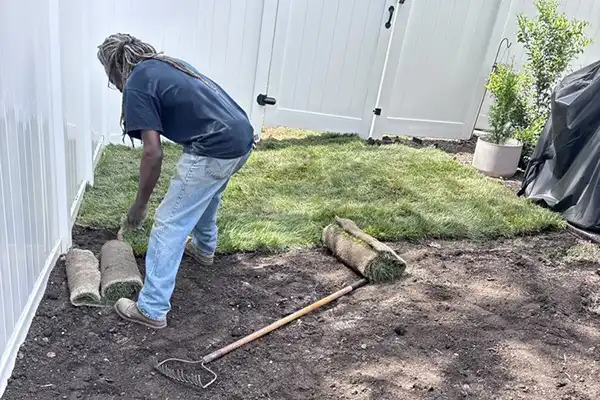 Sod Installation